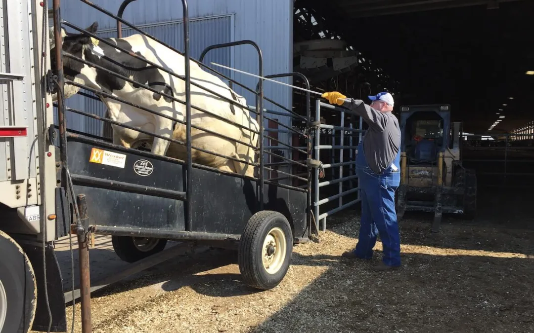 Another Auction Ends a Family Farm