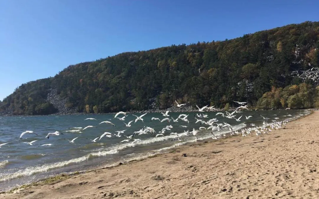 State Parks Are Back to Normal Hours for Holiday Weekend, But Capacity Limits Remain in Place