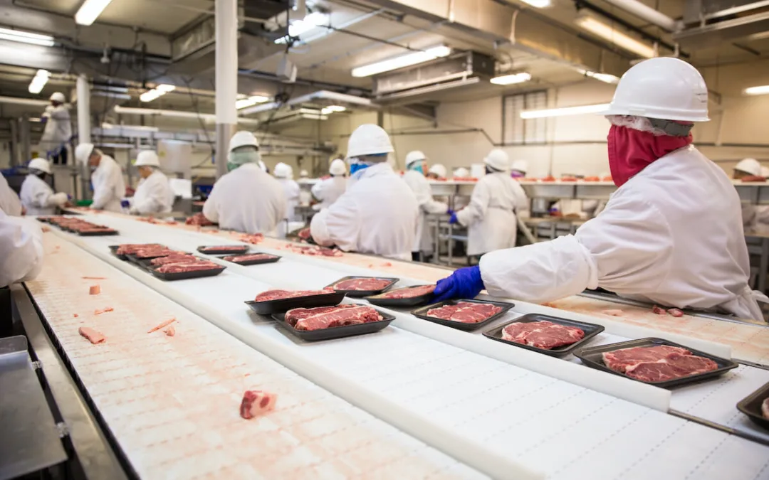 Green Bay Meatpacker Resumed Testing — But They Didn’t Do It Voluntarily
