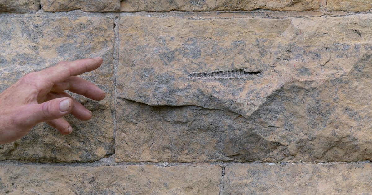 How Cave Of The Mounds Is Reopening In The Age Of COVID