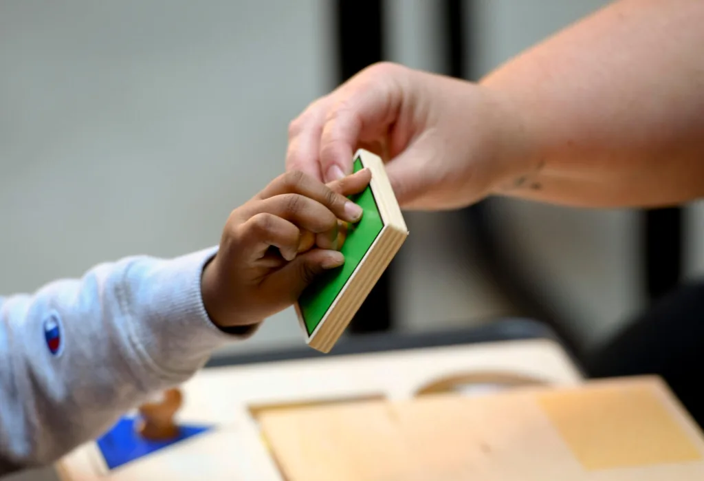 EDUCATION - Up North News
