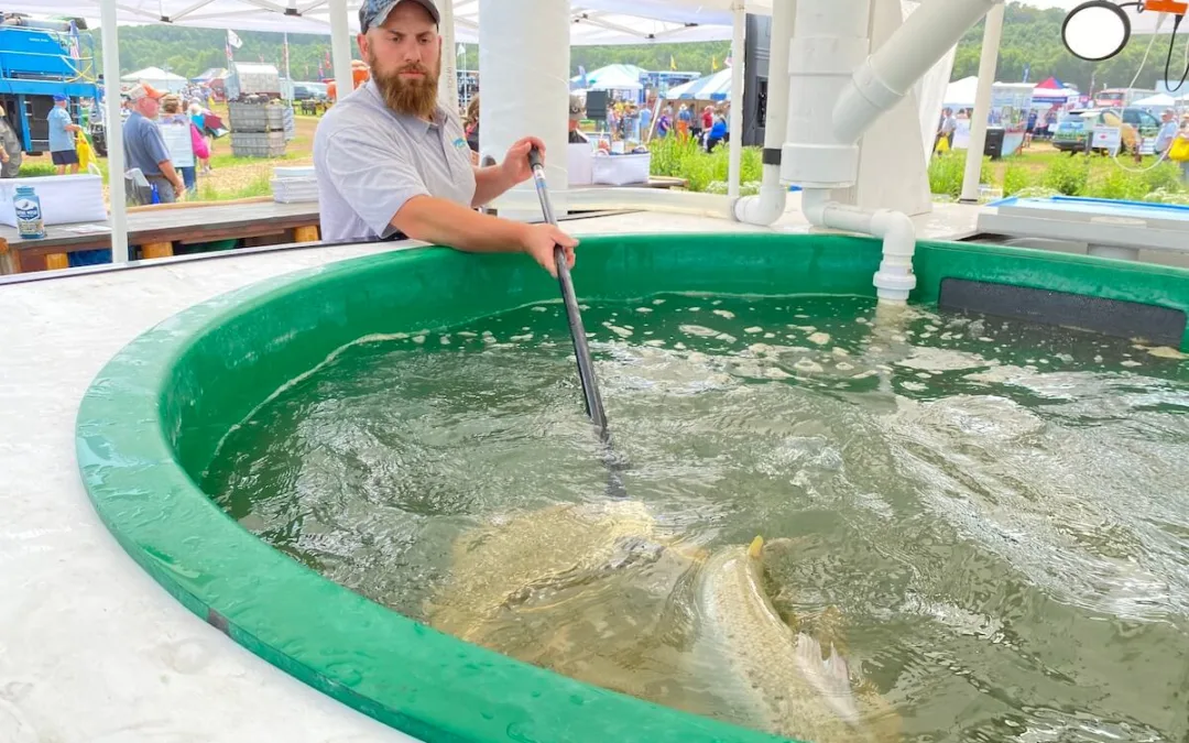 Agriculture is a Big Climate Change Contributor and Polluter. Wisconsin Farmers Want to Change That.