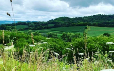 Op-Ed: Rural Communities Need Support to Keep Wisconsin Strong