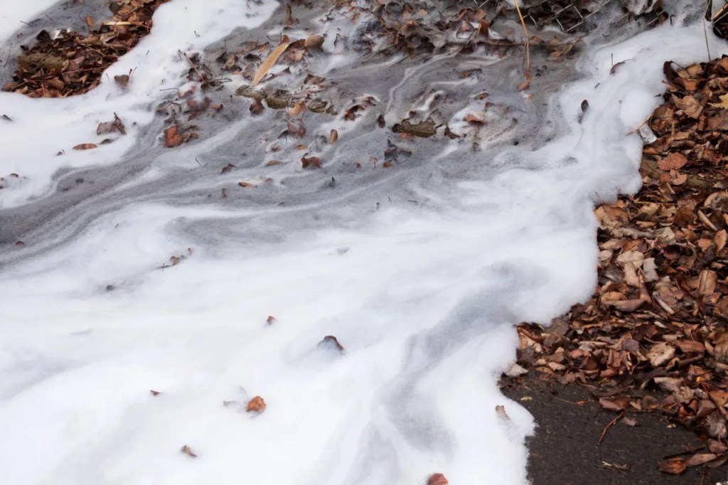 Lawsuit Could Send Wisconsin’s PFAS Protections ‘Back Into the Dark Ages’