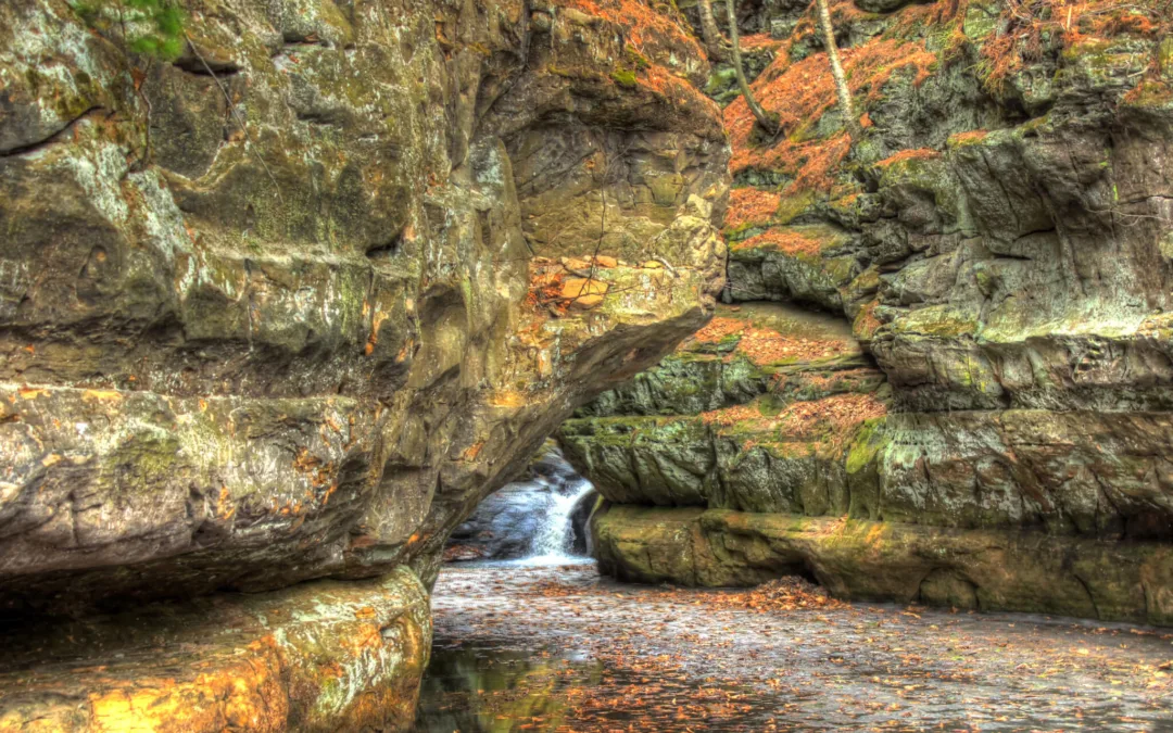 Wisconsin Natural Areas: Less Crowded Than the Parks