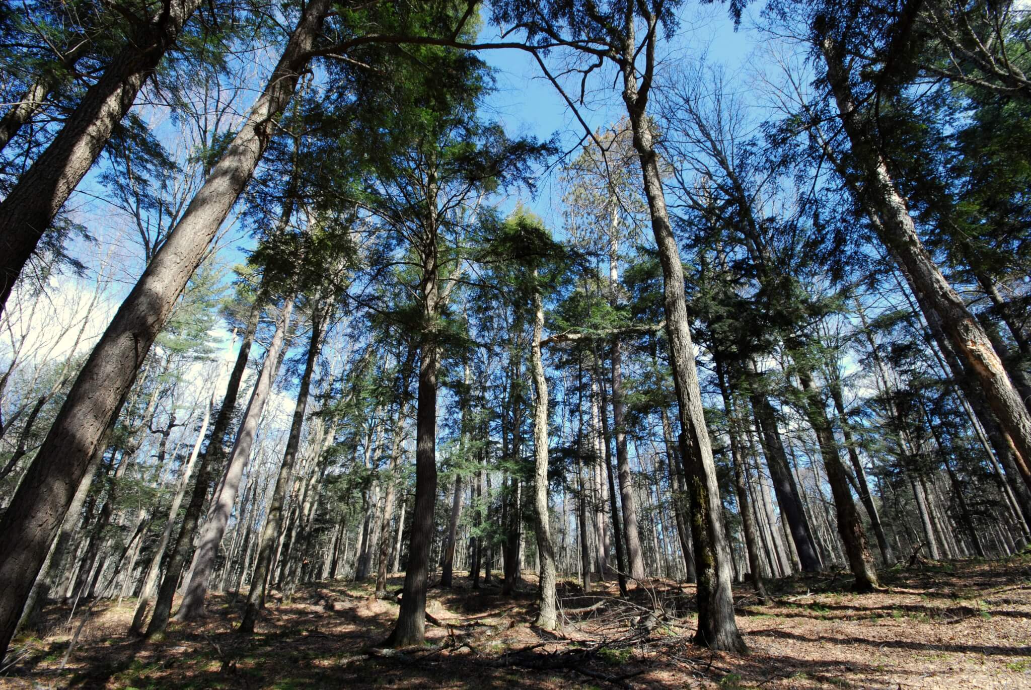 Wisconsin Natural Areas: Less Crowded Than the Parks