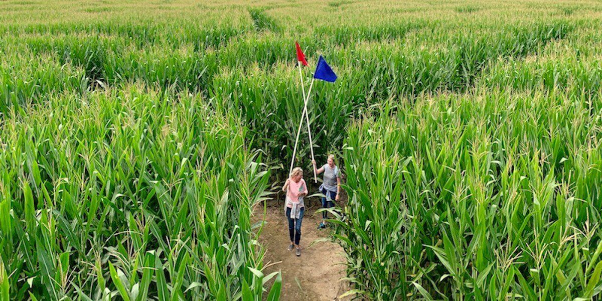 From Anime Designs to Spooky Nighttime Tours, These Are Some of Wisconsin's Best Corn Mazes