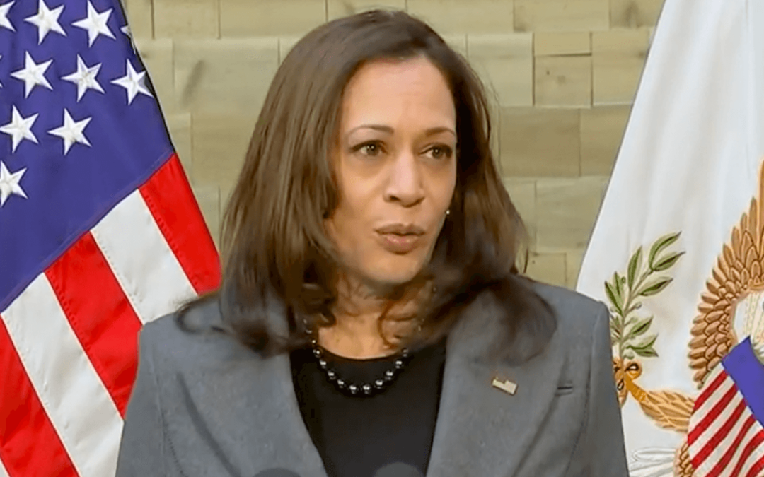 ‘Moral Imperative’: Harris Talks Lead Remediation in Milwaukee