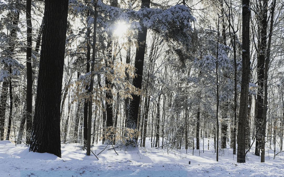 tl;dr – Daily Headlines and Commentary From Our Newsletter