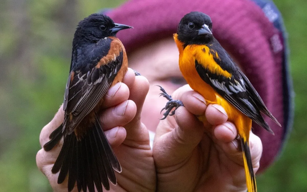 Field Trips From the Natural Resources Foundation Show Off Wisconsin From All Angles