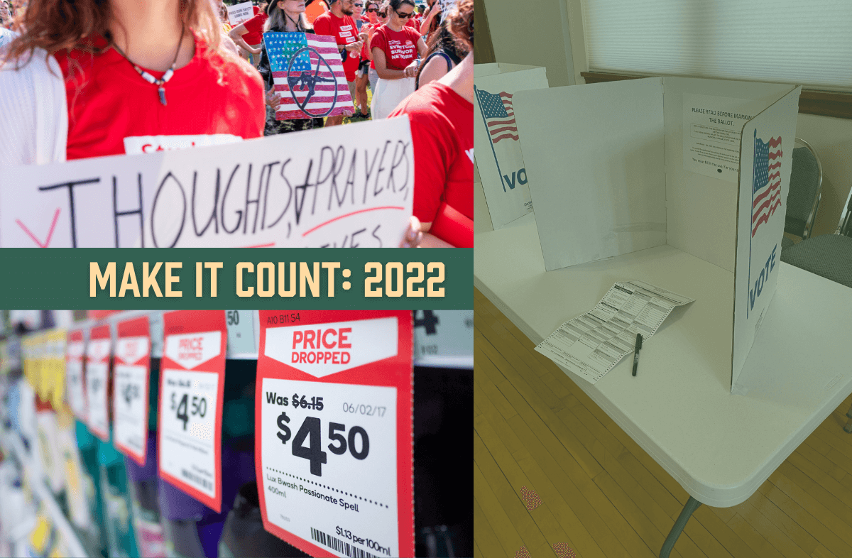 Make It Count Guns Prices Voting Booth