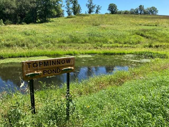 Topminnow Pond