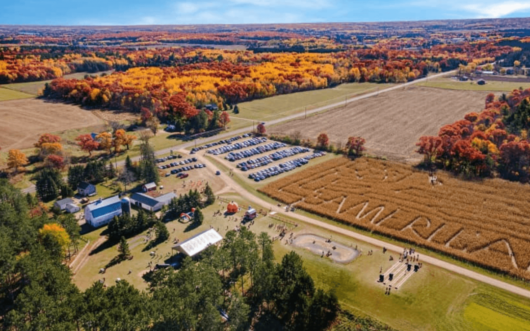 6 Pumpkin Patches in Wisconsin to Visit and One Thing You Must Do at Each