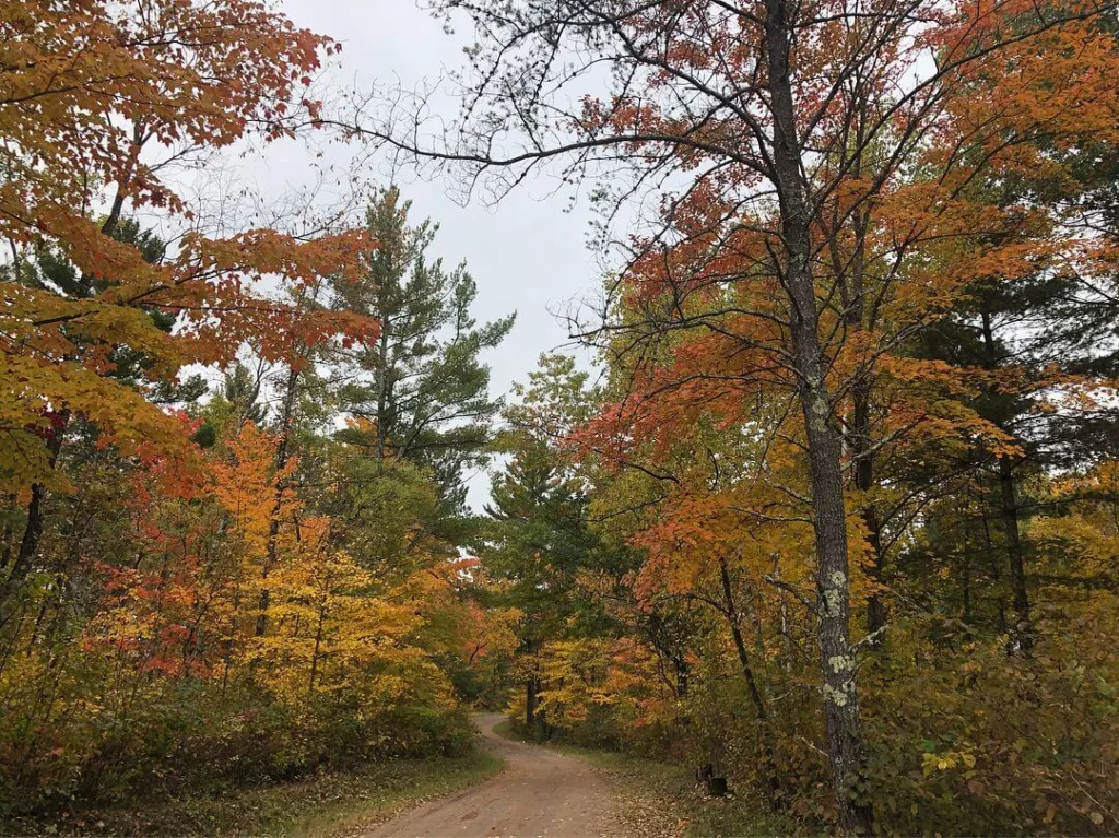 Put These 7 Wisconsin Festivals on Your Fall Calendar