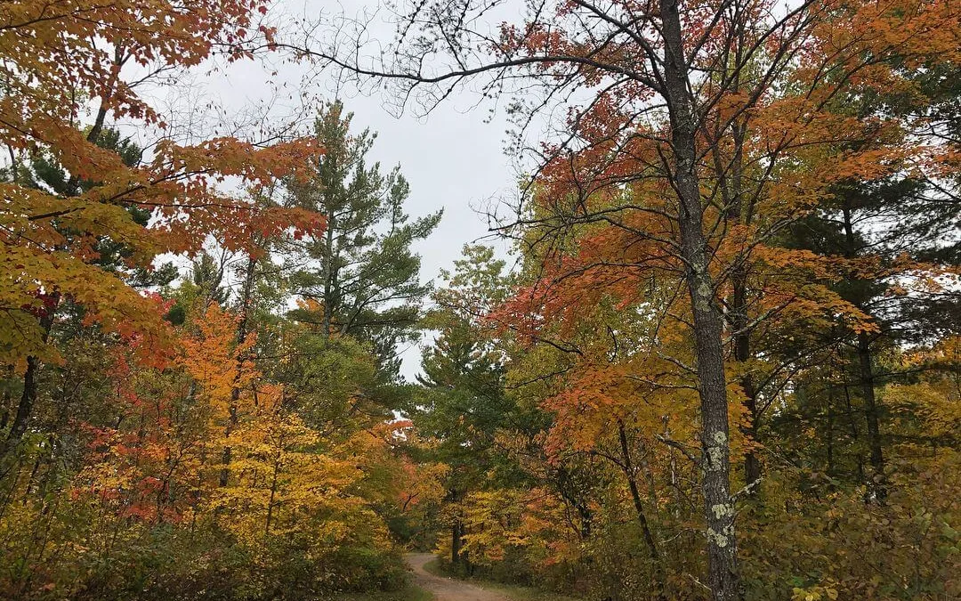 Put These 7 Wisconsin Festivals on Your Fall Calendar