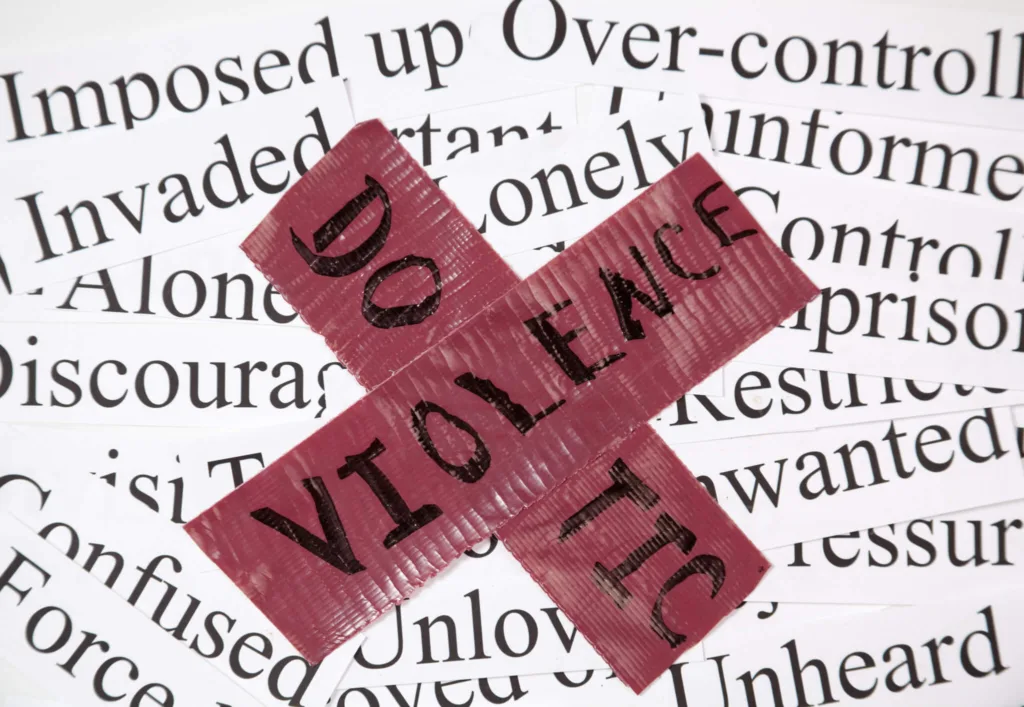 <strong>Reports of Domestic Violence Reach a Record High in Wisconsin </strong>