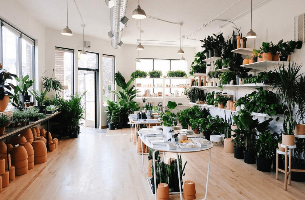 Indoor Plants Not Only Brighten Your Space, But Boost Your Health, According to Science