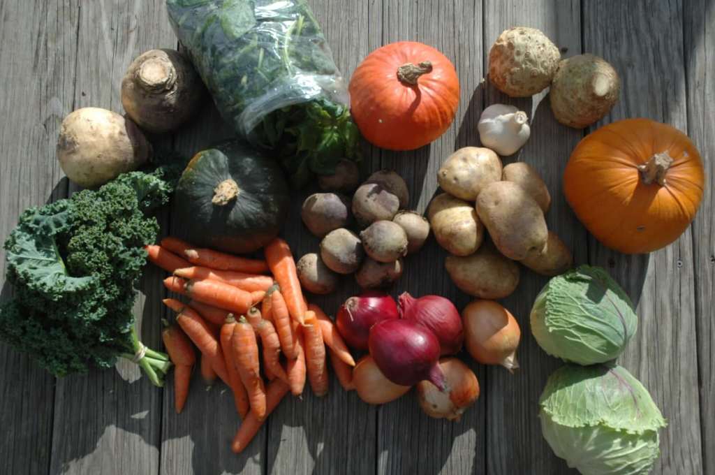 Wisconsin’s Best Winter Farmers’ Markets & What’s In-Season Right Now