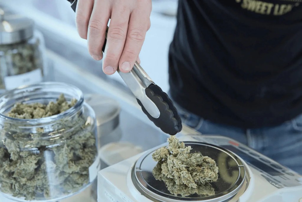 ‘Prohibition Isn’t Working’—State Senate Democratic Leader Hits the Road to Promote Legalizing Marijuana