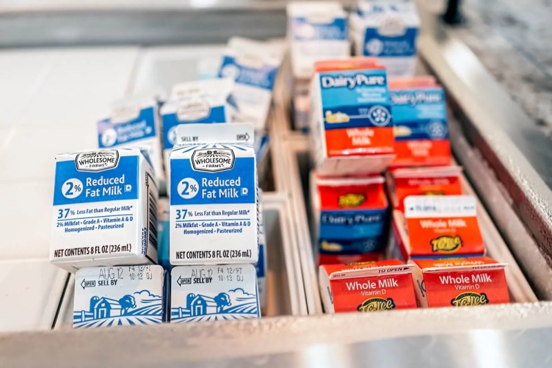 Cartons of milk for school lunches