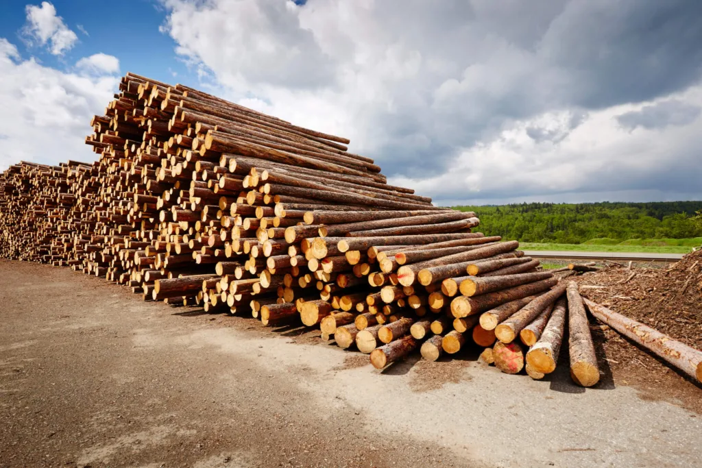 Safety officials are investigating the death of a 16-year-old boy injured at Wisconsin sawmill