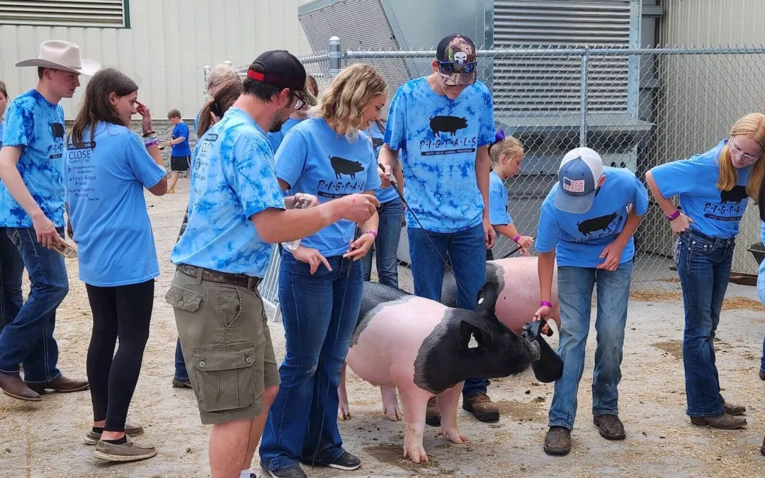Here Are 5 Things That Set the Northern Wisconsin State Fair Apart from That Big Event in West Allis