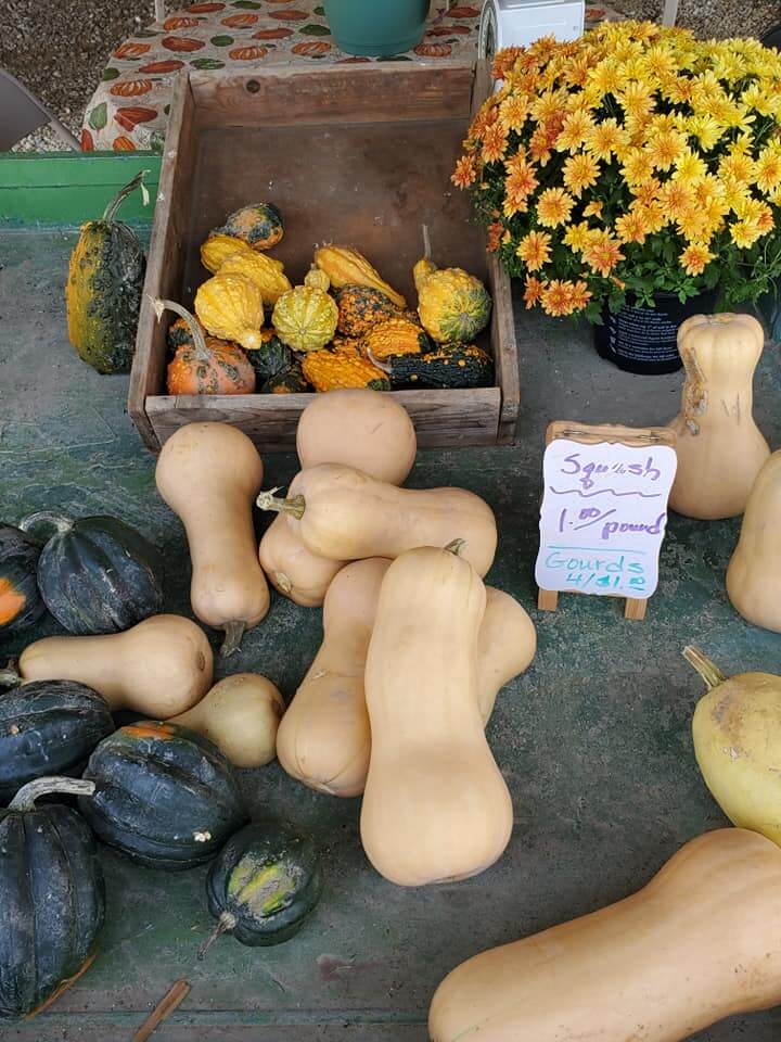 Get Out Your Puffy Vests: Here’s Your Fall Fun Bucket List For Southern Wisconsin 