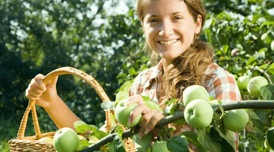 Exploring Wisconsin’s Apple Trail: 8 Must-Visit Orchards and Attractions