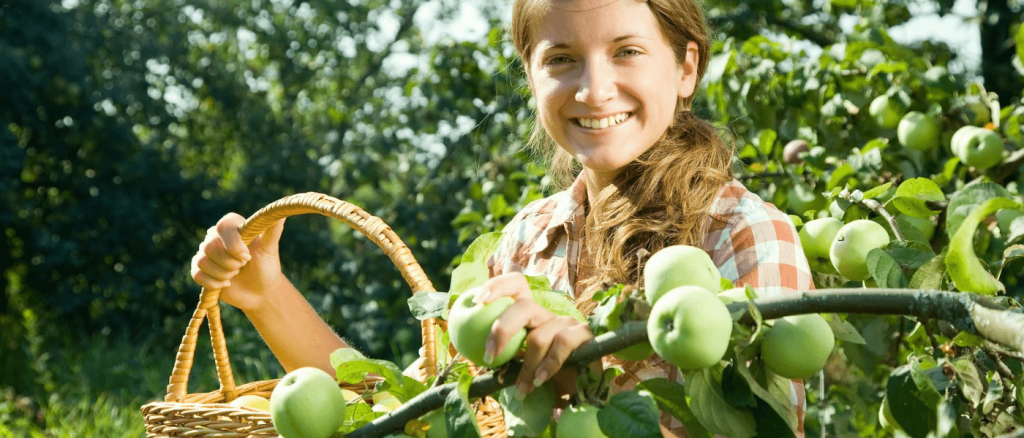 Exploring Wisconsin’s Apple Trail: 8 Must-Visit Orchards and Attractions