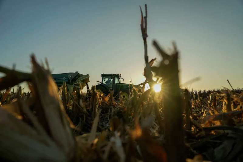 Cover Crops