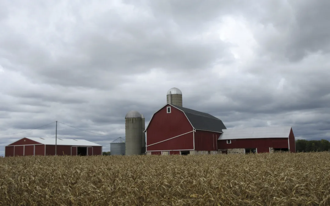 3 things Wisconsin farmers are concerned about going into 2024