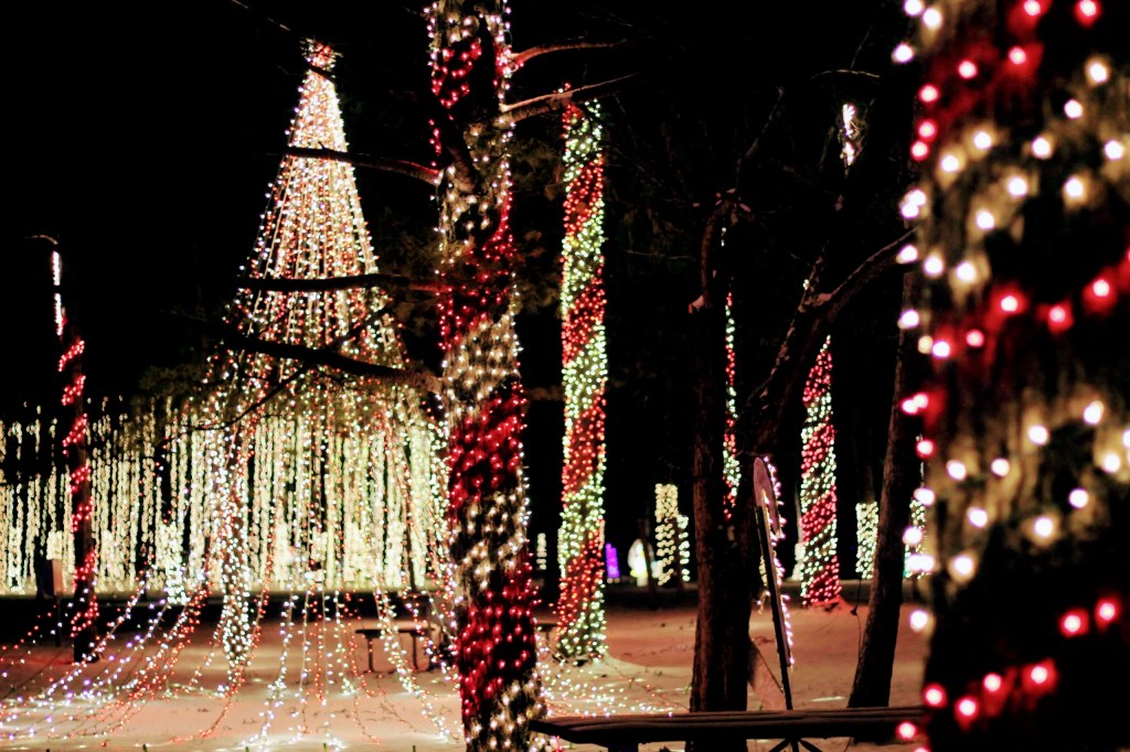 This Caledonia family turned their holiday light show into a children’s book