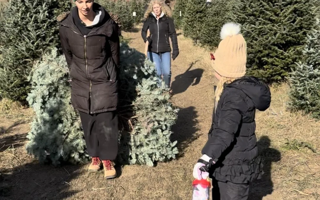 Picking the perfect Christmas tree (and tricks to keep it alive!)