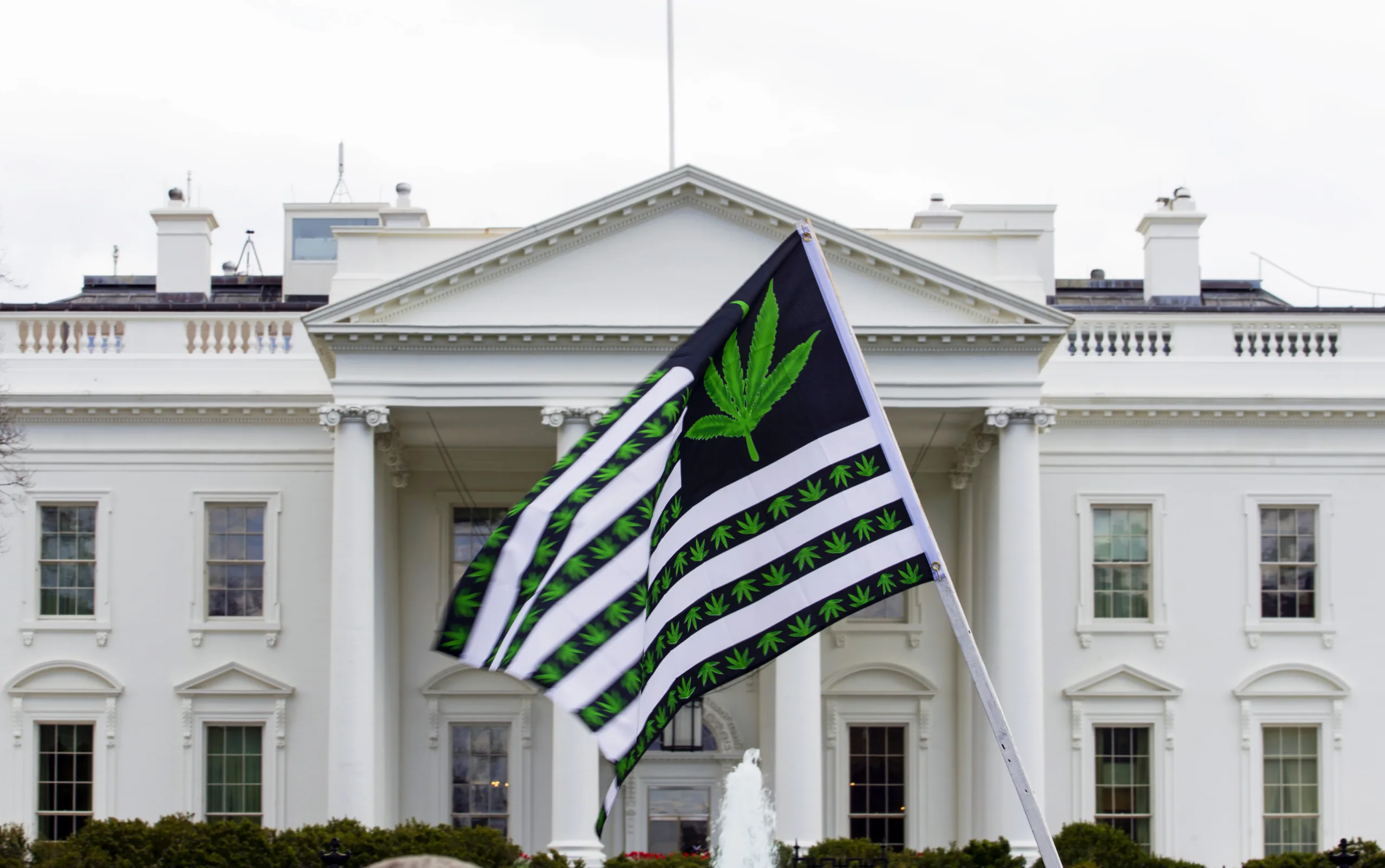 Biden pardons thousands of Americans convicted of marijuana possession Biden pardons thousands of Americans convicted of marijuana possession