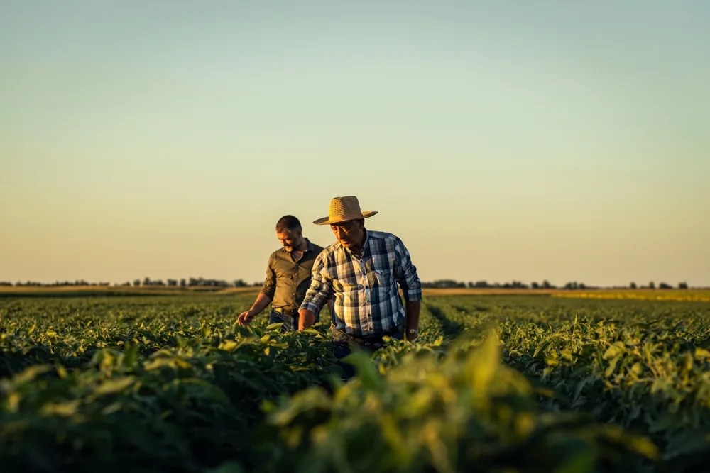 Wisconsin’s Office of Rural Prosperity aims to spread opportunity across the state
