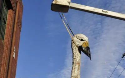 The story behind Eau Claire’s giant swan made of trash