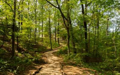 The top 3 hiking trails near La Crosse, Wisconsin