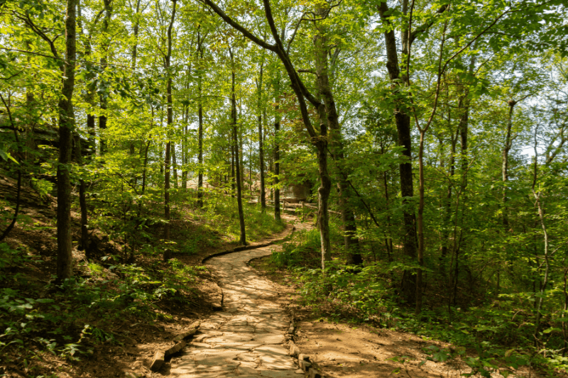 The Top 3 Hiking Trails Near La Crosse, WI