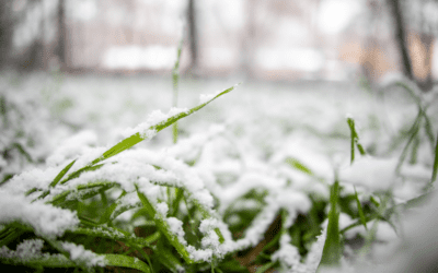 Mild winter triggers financial support for Wisconsin businesses