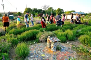 Free Activities For The Whole Family In Milwaukee, Madison, & La Crosse