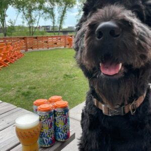 Sip, Sit, Stay: 7 Dog-Friendly Establishments In Eau Claire