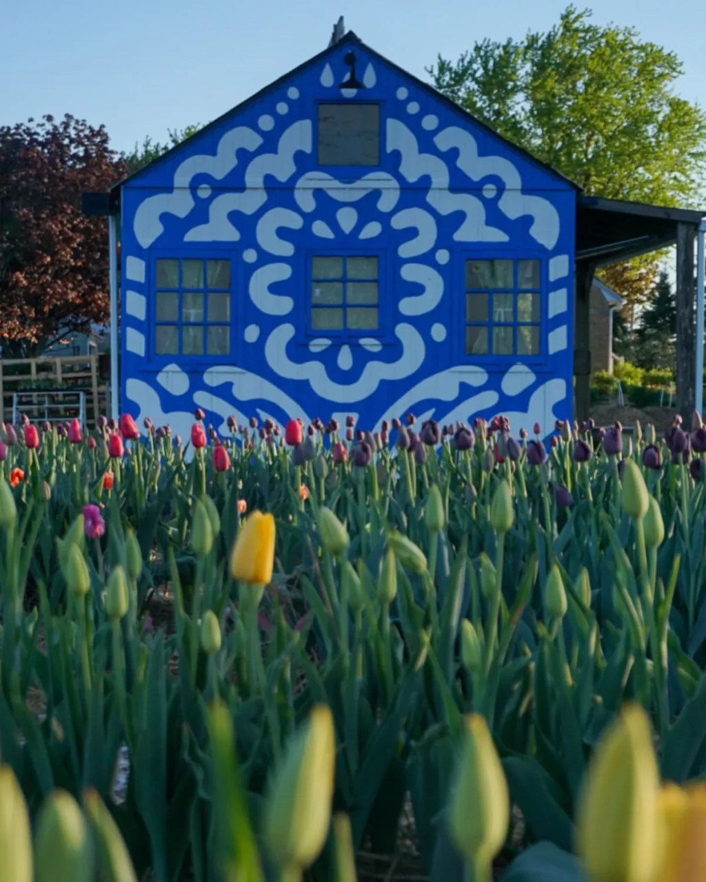 Wisconsin in Bloom: 5 flower festivals worth the drive