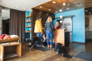 Sip, Sit, Stay: 7 Dog-Friendly Establishments In Eau Claire
