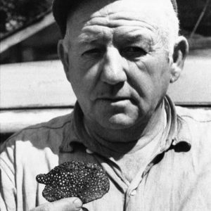 The 8 Most Convincing UFO Sightings In Wisconsin History