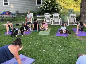 7 places to practice goat yoga in Wisconsin