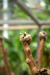 3 Pets That Are Banned In Wisconsin (+ 3 That Surprisingly Aren’t)