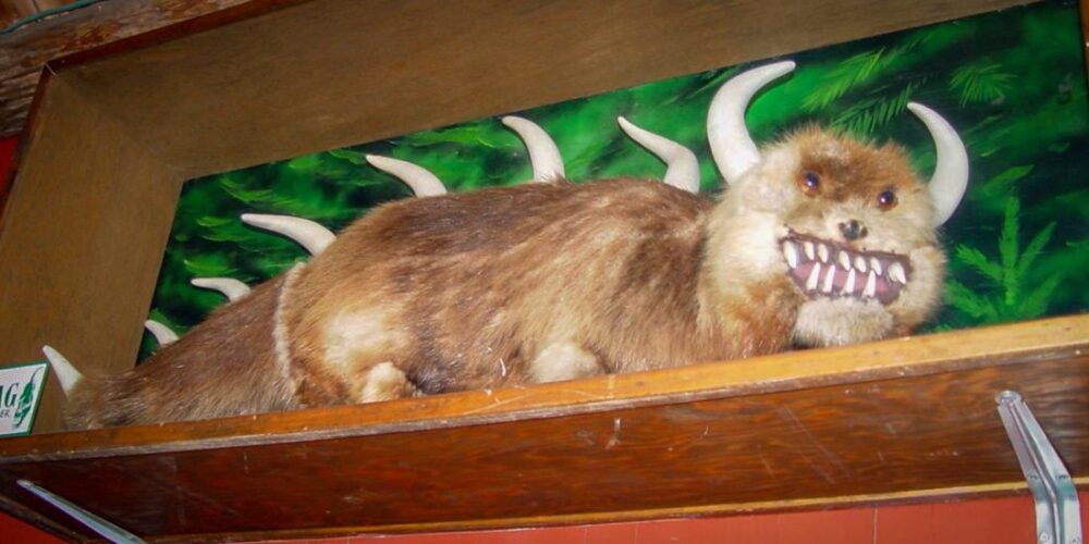 Beast of Bray Road & Hodags: Check out these 5 legendary creatures in Wisconsin