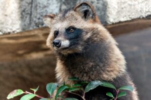 3 Pets That Are Banned In Wisconsin (+ 3 That Surprisingly Aren’t)