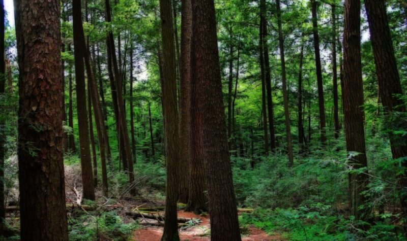 Madeline Island & more: Wisconsin's coolest natural wonders