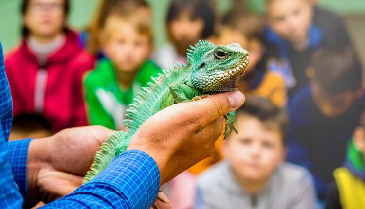 August in Green Bay: 7 can’t-miss events